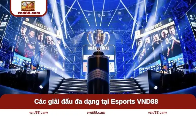 Các giải đấu đa dạng và hấp dẫn