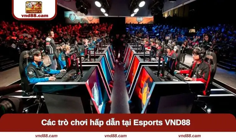 Các trò hấp dẫn có mặt tại đây