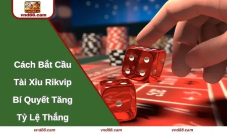 Cách Bắt Cầu Tài Xỉu Rikvip – Bí Quyết Tăng Tỷ Lệ Thắng