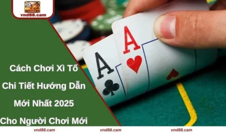 Cách Chơi Xì Tố: Chi Tiết Hướng Dẫn Mới Nhất 2025 Cho Người Chơi Mới
