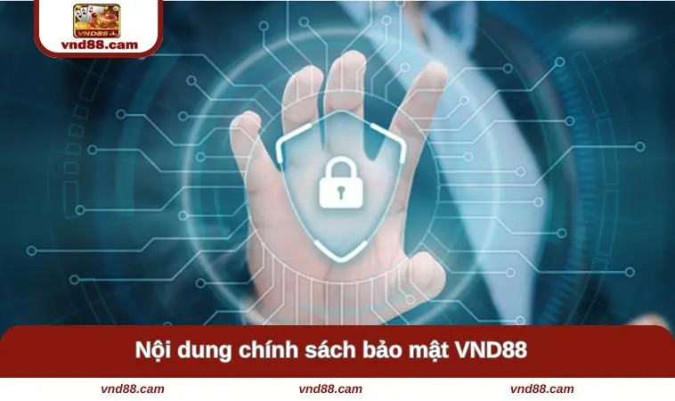 Những nội dung chính trong chính sách bảo mật VND88