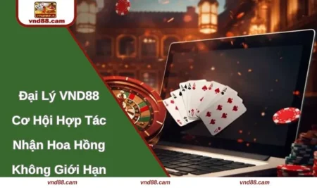 Đại Lý VND88 - Cơ Hội Hợp Tác Nhận Hoa Hồng Không Giới Hạn