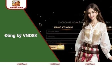 dang-ky-vnd88-anh-dai-dien
