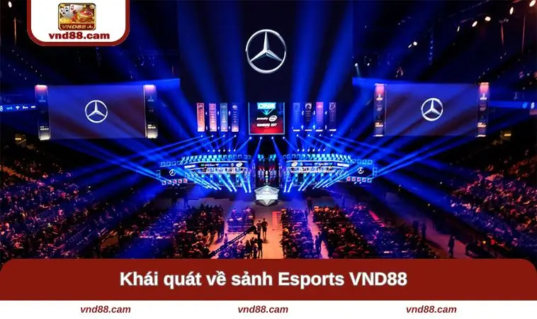 Khái quát về sảnh cược